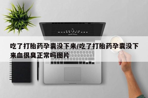 卖正品米非司酮片微信吃了打胎药孕囊没下来/吃了打胎药孕囊没下来血很臭正常吗图片